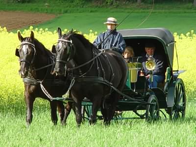http://www.wiesenthof.de/kutschfahren/kutsche.400x300.jpg